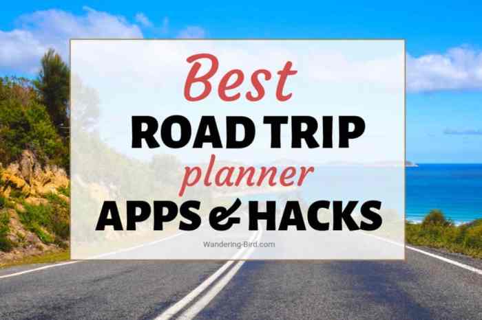 Top Apps for Road Trip Planning