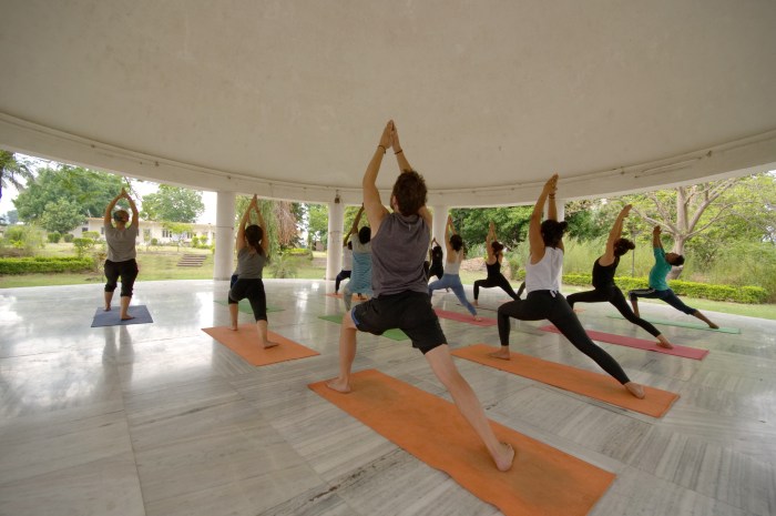 Retreats Yoga Teacher Training Retreats