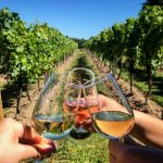 Best Seasonal Wine Tours and Festivals